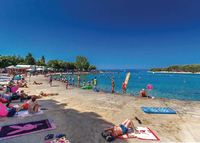 Stunning In - Cki744 푸나트